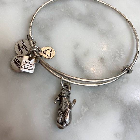 Alex and Ani Badger Bracelet - Picture 3 of 3
